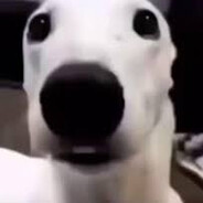 KacperQ