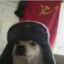 Marxism DOG