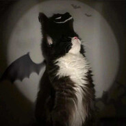 Olzik avatar