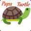 Papa turtle