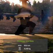 Jr_Fiflak_skins.army