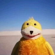 Sambuhlamb