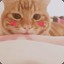 软君君