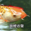 特朗批