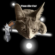 CatWithGun720