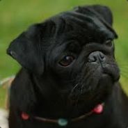 Ĝ҉ Ǻ҉ Ӎ҉ Ế҉ Ʀ_¸.•'¯)