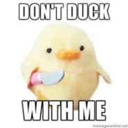 DontDuckWithMe