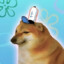 Liquid