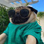 mops