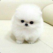 我家萍萍最可爱