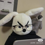 一只奋斗兔罢了