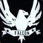 NxT Falcon