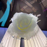 PMQZ avatar