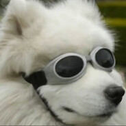 Nikonikoni你被捕了