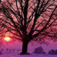 fierytrees