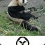 PandaOfDoom