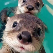 此刻是不再有的此刻了