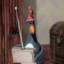 Feathers McGraw