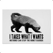 HolyHoneybadger