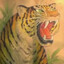 Paper Tiger