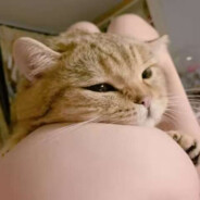 我没穿苦茶子啊