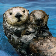 扑通一声掉下水