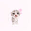 meow