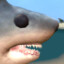 Sealife Fan