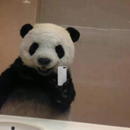 听不懂你在说啥