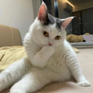 古希腊掌管牛牛的神