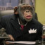 Monkey Business Man