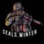 SEALs.Winter