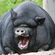 аллах все знает