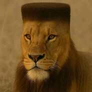 不染人间灬桃李花