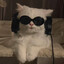 Котенок