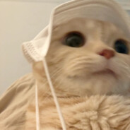 往生堂堂主的狗