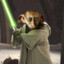 Dobby Wan Kenobi