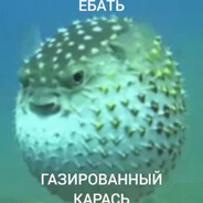 ГАЗИРОВАННЫЙ КАРАСЬ