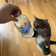 the hoes gonna love this