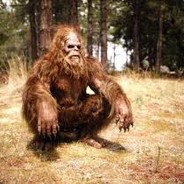 Squatch