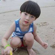 黑洞板甲贵人鸟