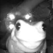 nappingfrog38