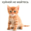 шницель
