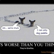 worse than you think123