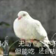 事已至此，先睡觉吧