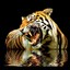leo_zver