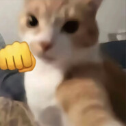 你也就这实力了