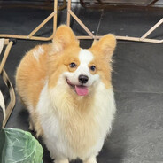 十八岁那年没打过权权