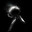 0utlove-
