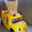 Meowgic Cat Bus